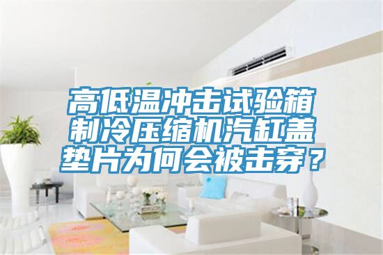 高低溫沖擊試驗(yàn)箱制冷壓縮機(jī)汽缸蓋墊片為何會(huì)被擊穿？
