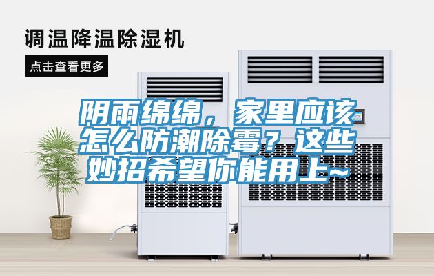 陰雨綿綿，家里應該怎么防潮除霉？這些妙招希望你能用上~
