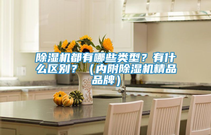 除濕機都有哪些類型？有什么區(qū)別？（內(nèi)附除濕機精品品牌）