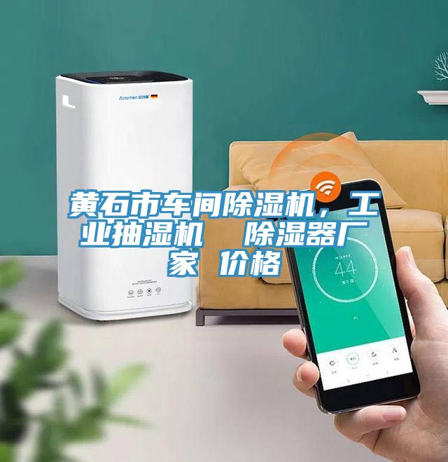 黃石市車間除濕機，工業(yè)抽濕機  除濕器廠家 價格