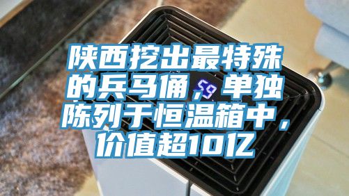 陜西挖出最特殊的兵馬俑，單獨陳列于恒溫箱中，價值超10億