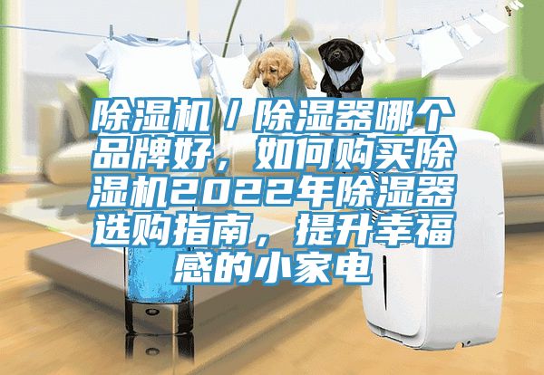 除濕機(jī)／除濕器哪個(gè)品牌好，如何購(gòu)買除濕機(jī)2022年除濕器選購(gòu)指南，提升幸福感的小家電