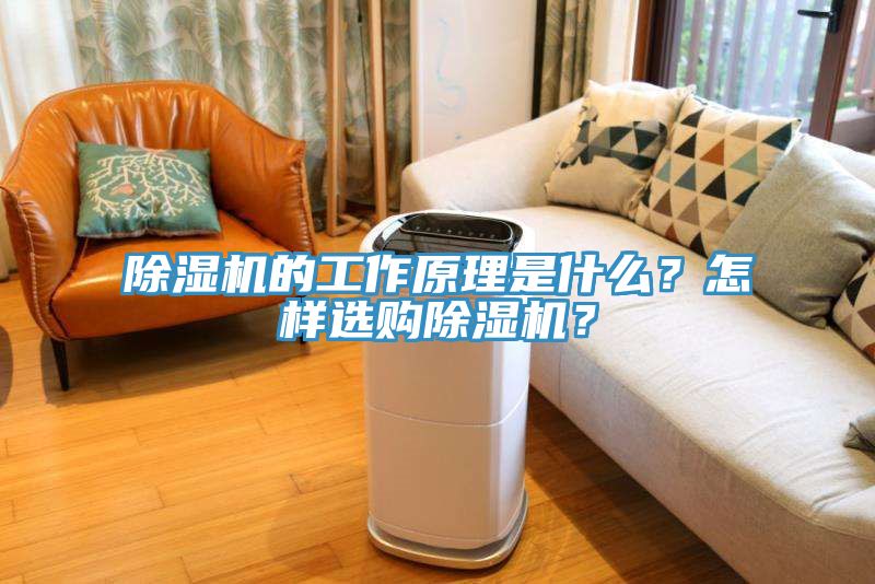 除濕機(jī)的工作原理是什么？怎樣選購除濕機(jī)？