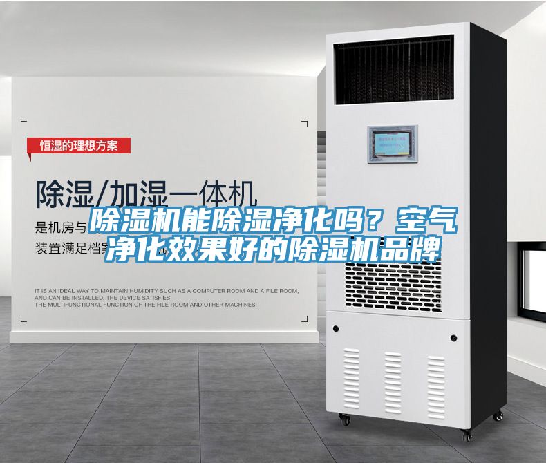 除濕機(jī)能除濕凈化嗎？空氣凈化效果好的除濕機(jī)品牌
