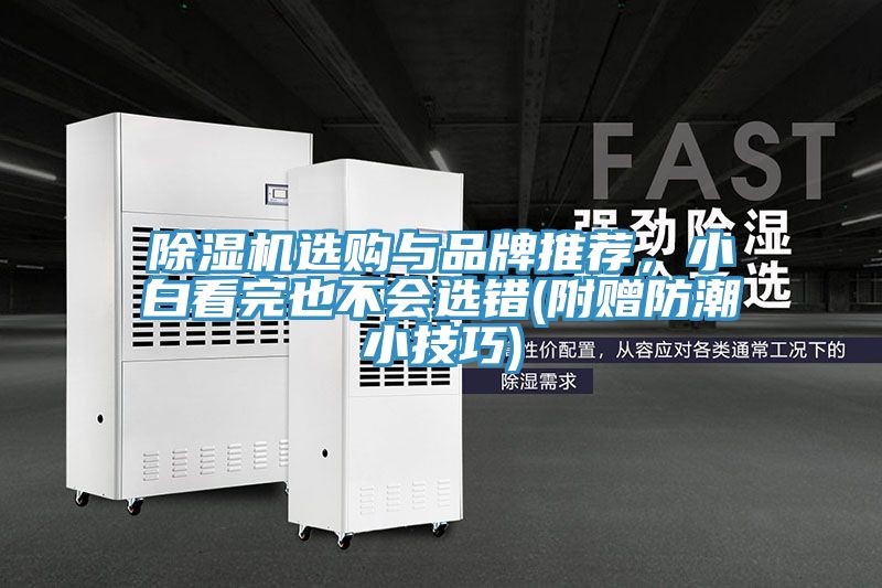 除濕機選購與品牌推薦，小白看完也不會選錯(附贈防潮小技巧)