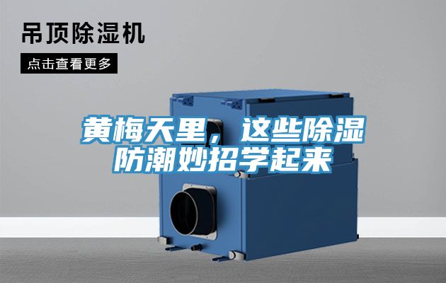 黃梅天里，這些除濕防潮妙招學(xué)起來