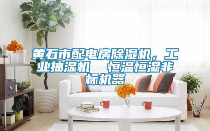 黃石市配電房除濕機(jī)，工業(yè)抽濕機(jī)  恒溫恒濕非標(biāo)機(jī)器