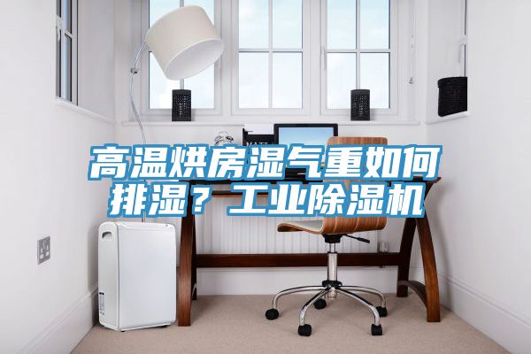 高溫烘房濕氣重如何排濕？工業(yè)除濕機