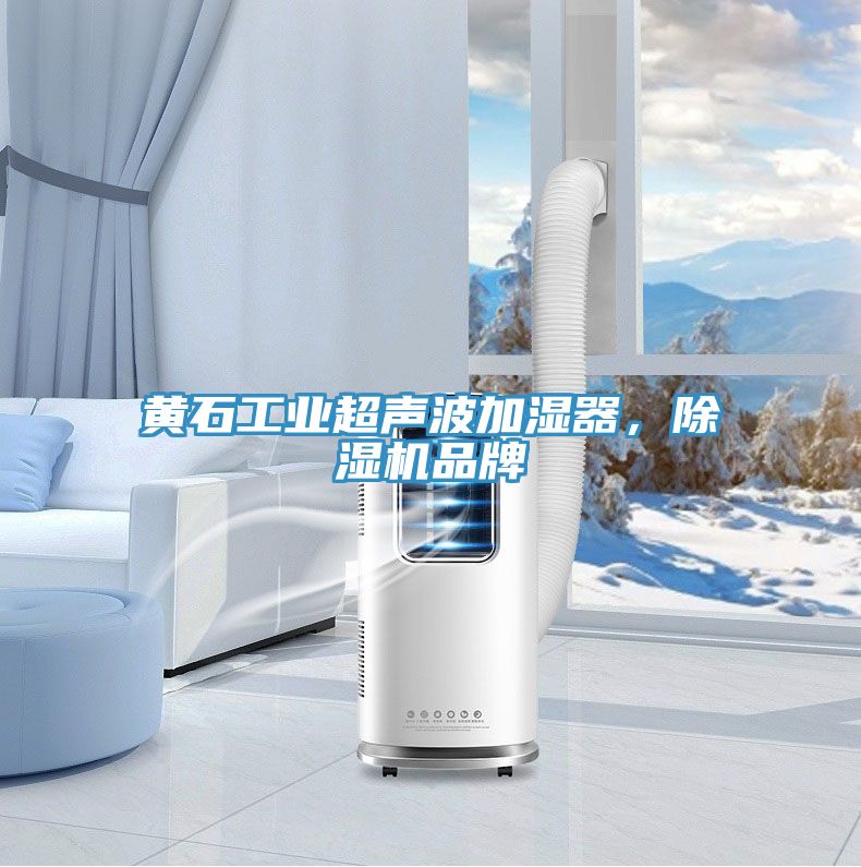 黃石工業(yè)超聲波加濕器，除濕機品牌