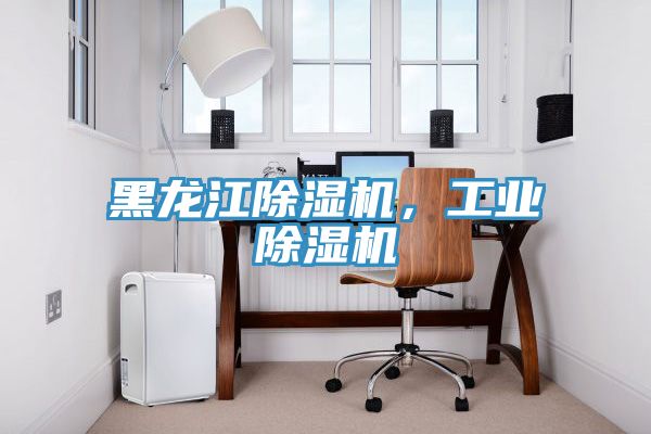 黑龍江除濕機，工業(yè)除濕機